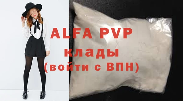прущие грибы Белокуриха