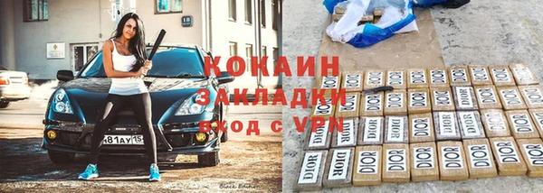 прущие грибы Белокуриха
