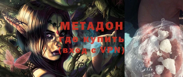 прущие грибы Белокуриха