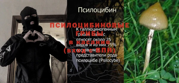 каннабис Беломорск