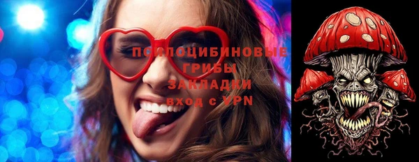 прущие грибы Белокуриха
