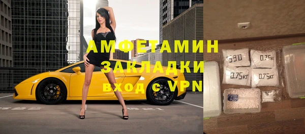 прущие грибы Белокуриха