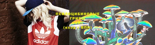 прущие грибы Белокуриха