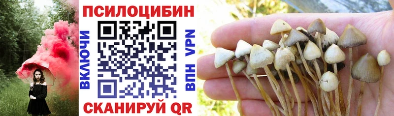 Галлюциногенные грибы Cubensis  хочу   KRAKEN маркетплейс  Якутск 
